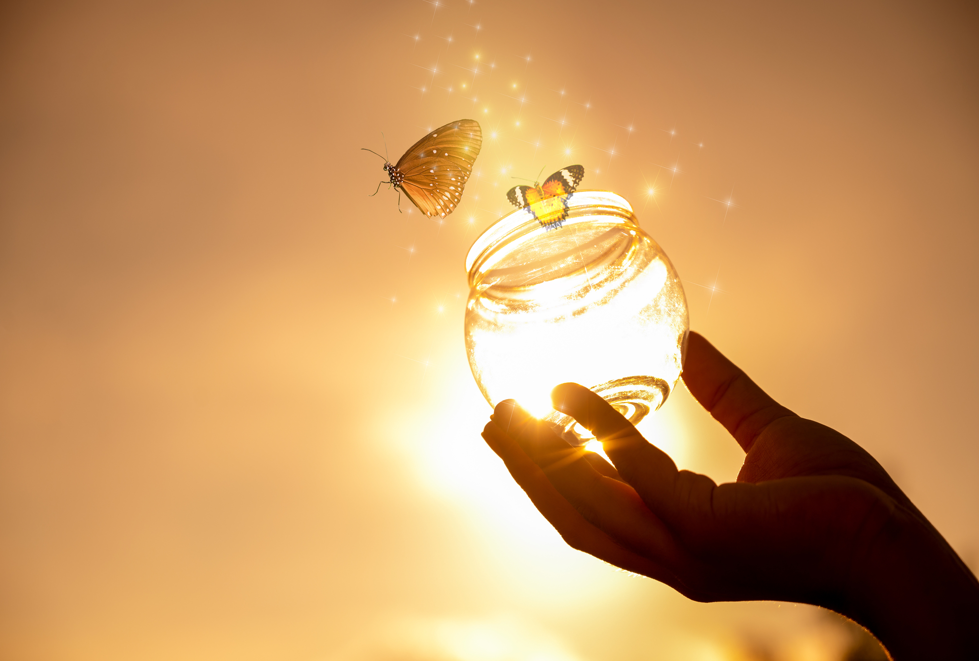 A glowing sunset photo of a hand releasing butterflies from a glass jar, symbolizing freedom, independence, and emotional release.